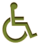 admission/disabled_picto