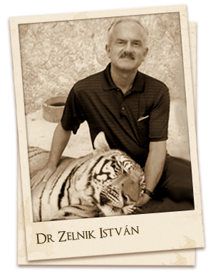 Collector Istvan Zelnik of the Asian artefacts of Goldmuseum Budapest